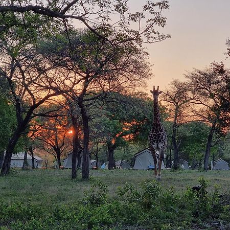 Unyati Safari Lodge هكتورسبروت المظهر الخارجي الصورة